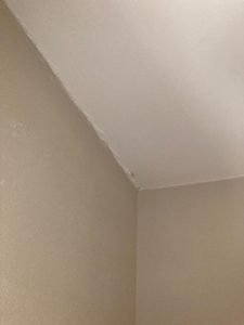 Repaired Cracks on Walls and Ceilings
