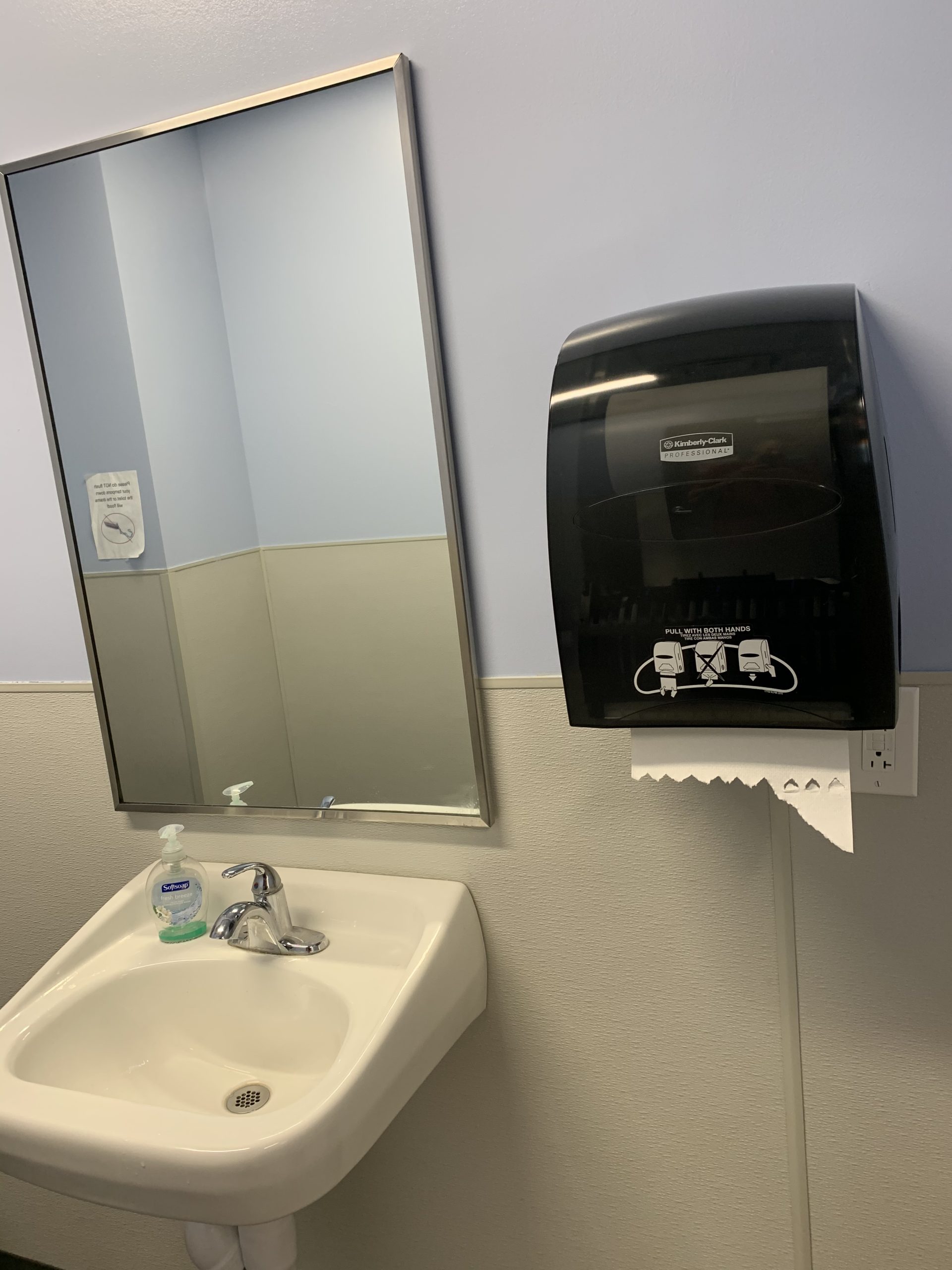 Mount Mirror with Roll Towel Dispenser