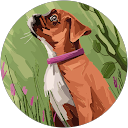 Fran Pursell profile picture